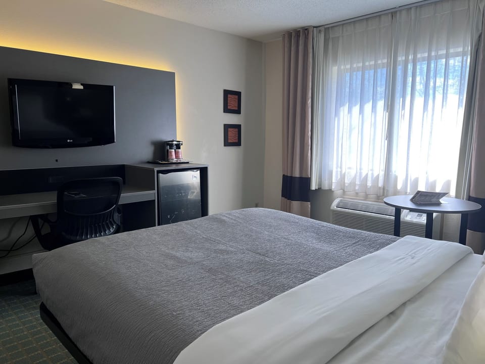 Standard Room, 1 Queen Bed, Non Smoking | Premium bedding, down comforters, pillowtop beds, desk