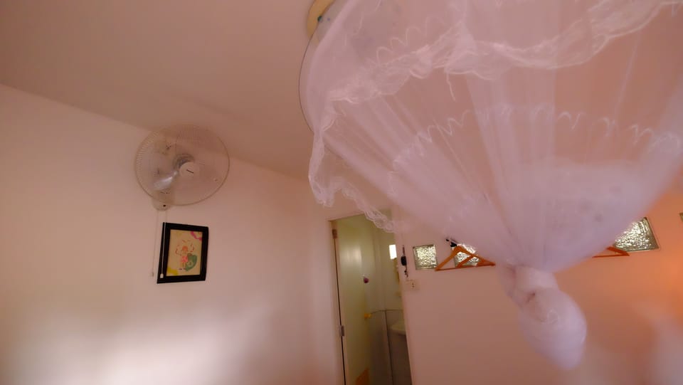 Fan Room | Room amenity