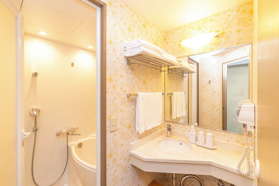 Separate tub and shower, free toiletries, hair dryer, slippers