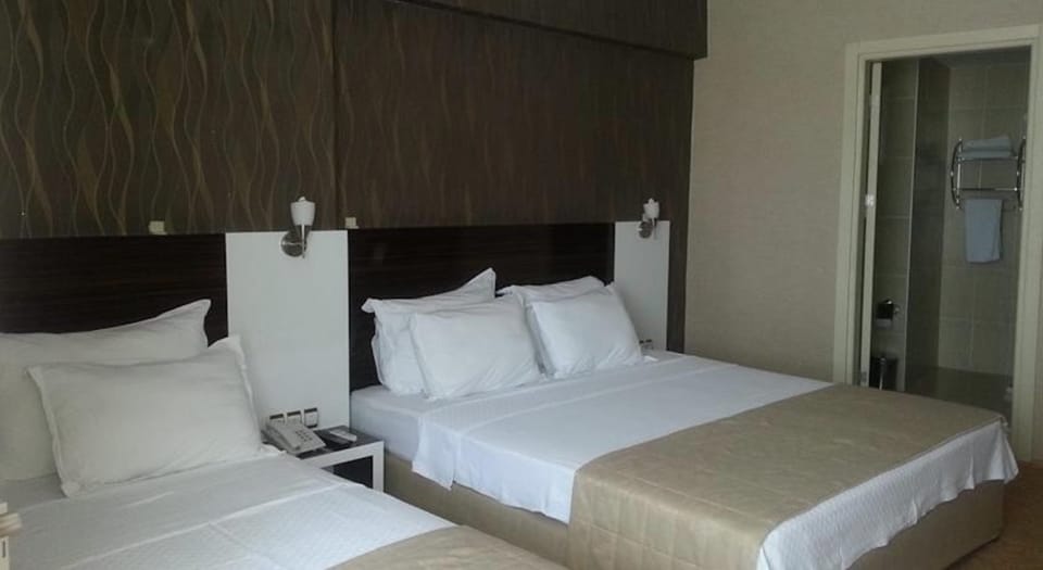 Standard Triple Room | Minibar, desk, soundproofing, iron/ironing board (on request)