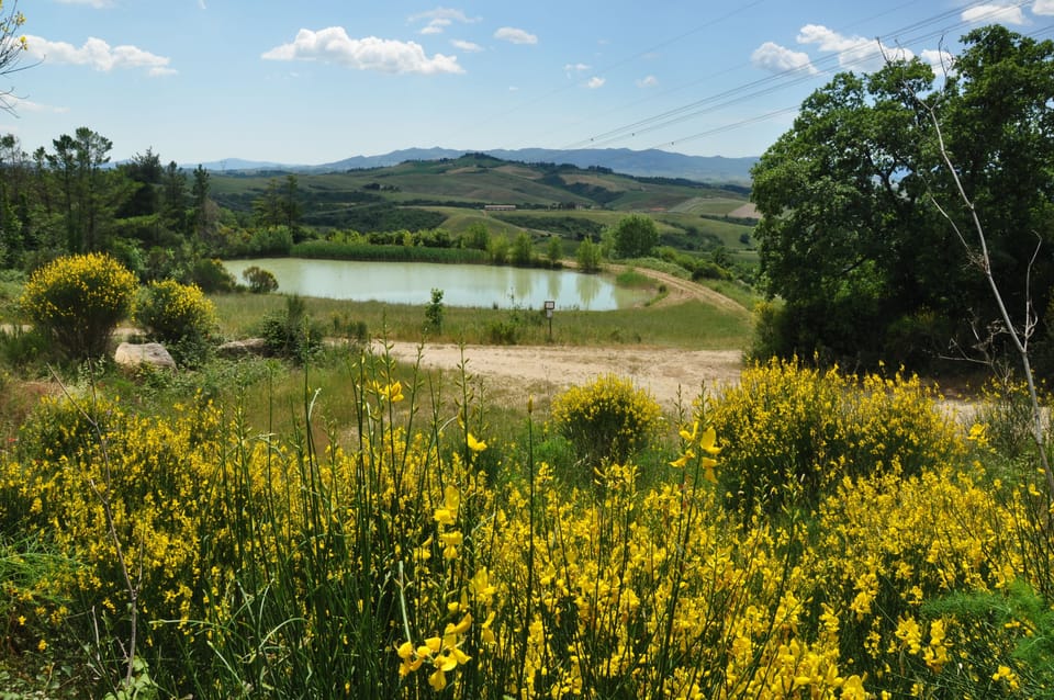 Lake