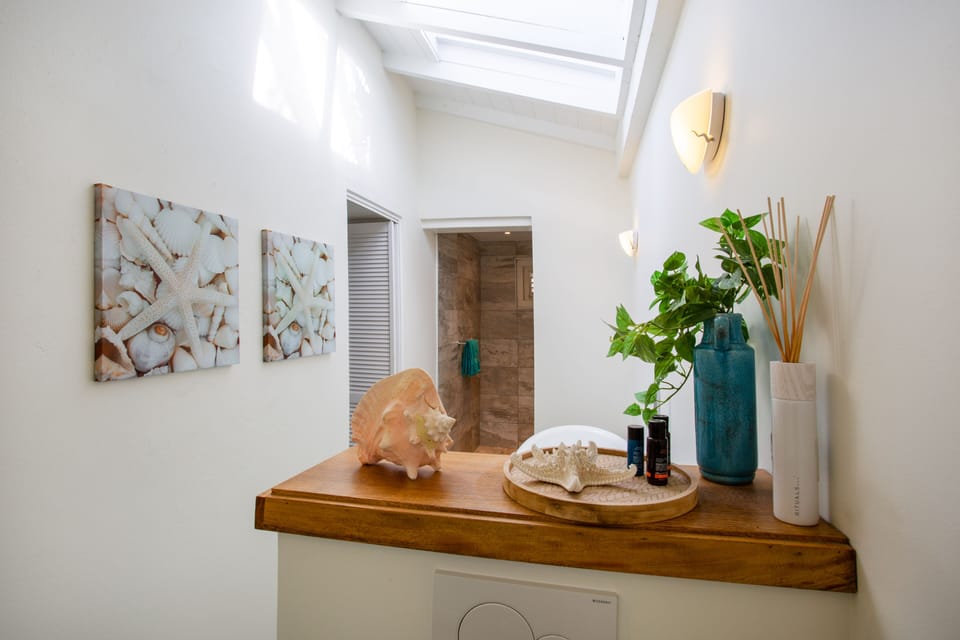 Luxurious monumental suite with private terrace and private pool. | Bathroom amenities | Shower, free toiletries, hair dryer, towels