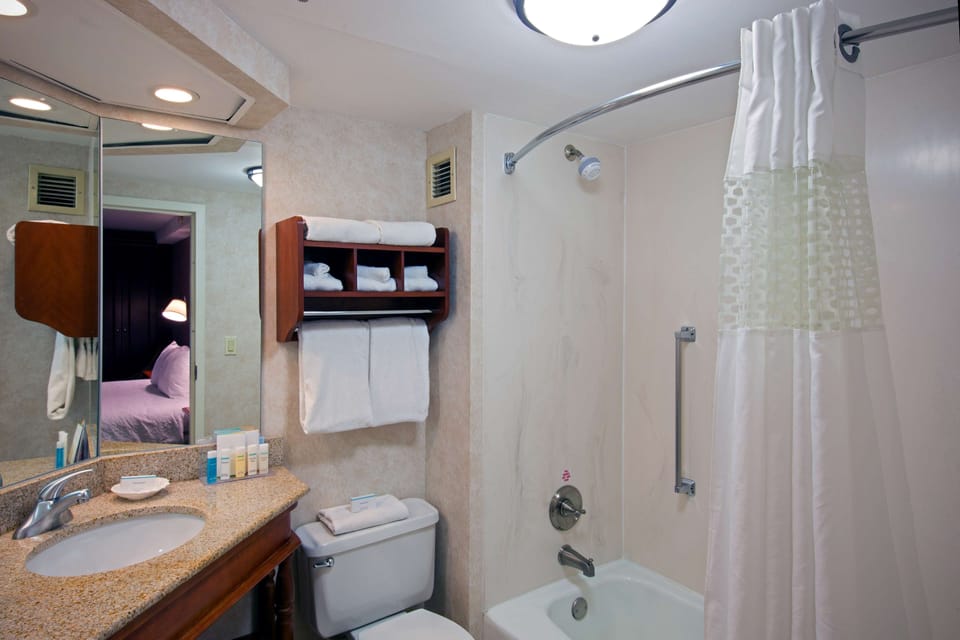 Combined shower/tub, free toiletries, hair dryer, towels