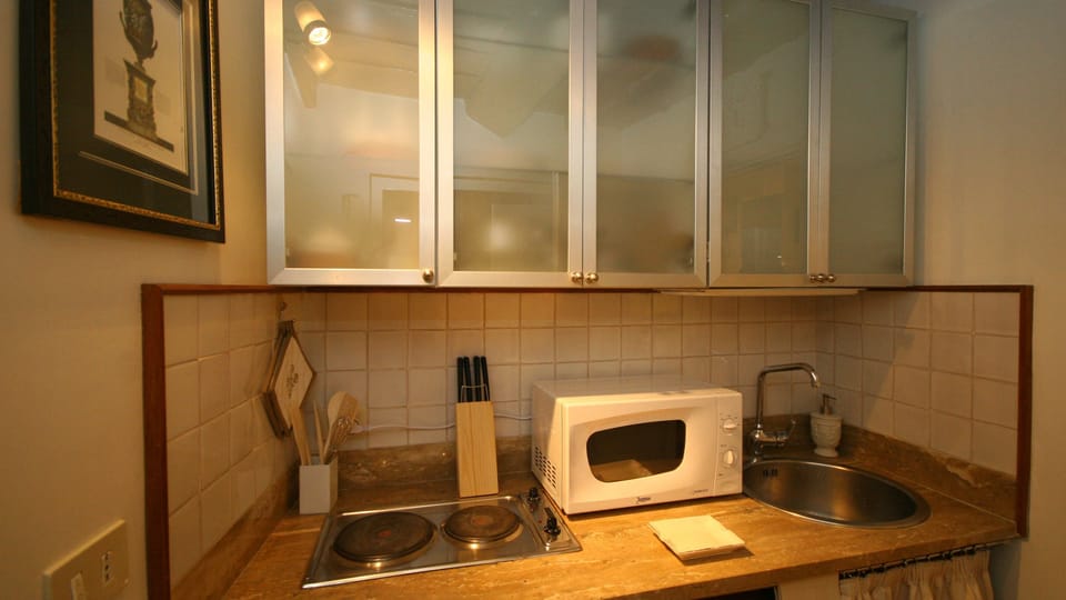 Studio | Private kitchenette | Fridge, stovetop, coffee/tea maker, cookware/dishes/utensils