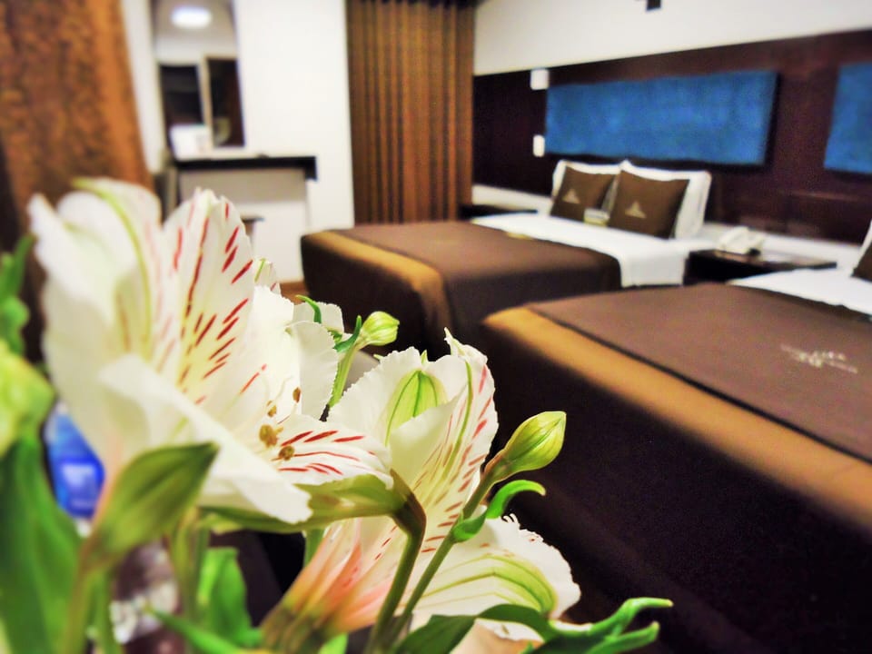In-room safe, desk, laptop workspace, soundproofing