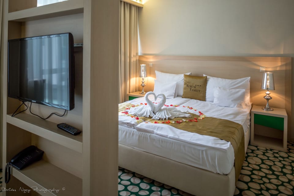 Deluxe Suite | Free WiFi, bed sheets