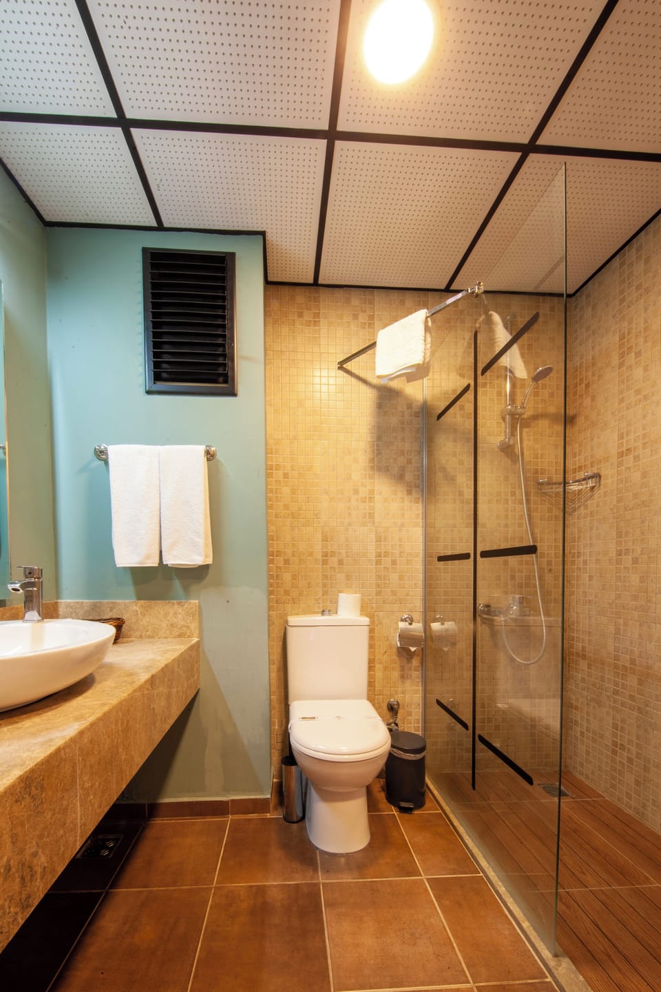 Shower, free toiletries, hair dryer, towels