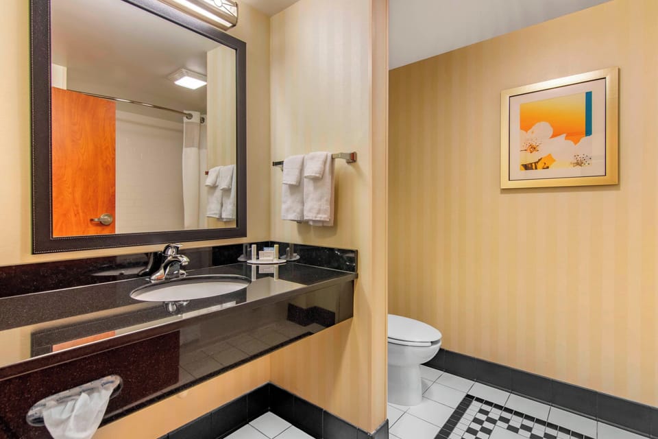 Free toiletries, hair dryer, towels