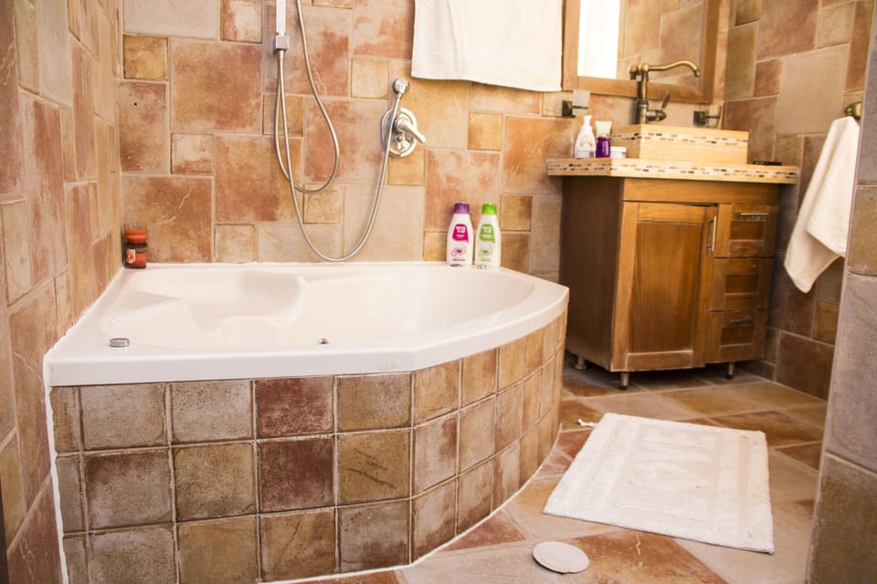 Classic Suite | Bathroom | Free toiletries, towels