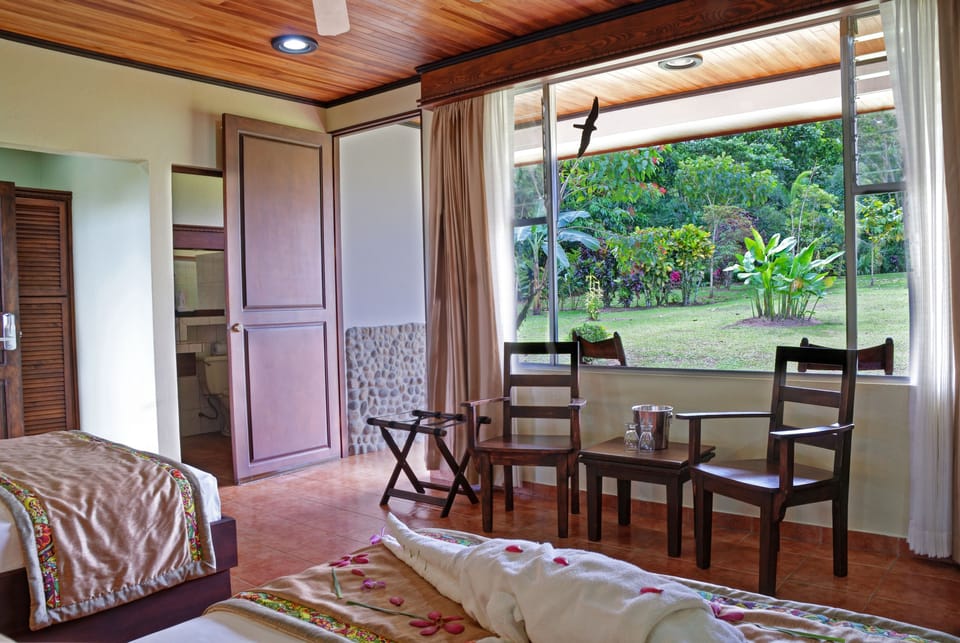 Superior Room, 2 Double Beds | Terrace/patio