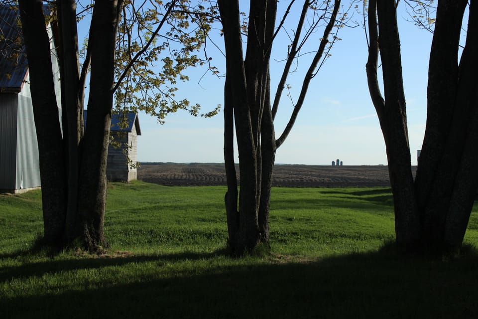 Garden view