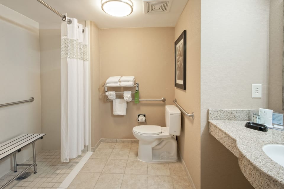 Combined shower/tub, free toiletries, hair dryer, towels