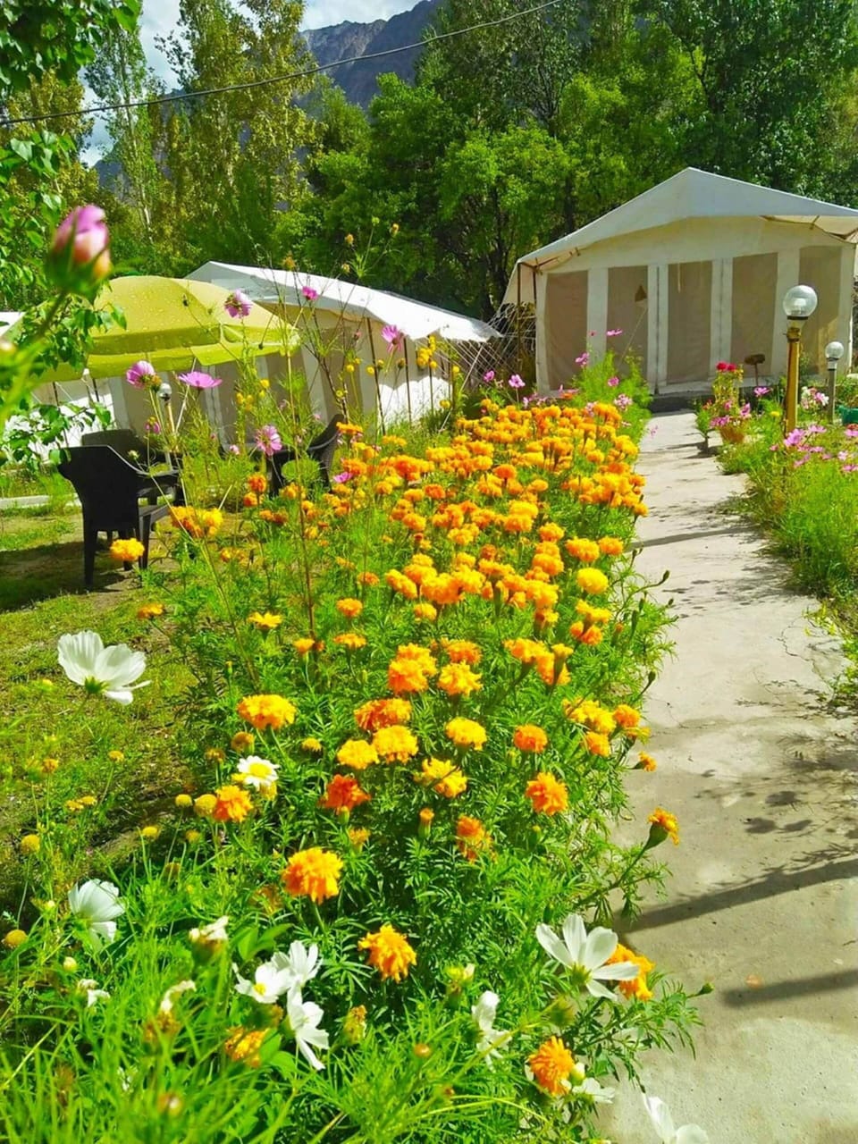 Garden