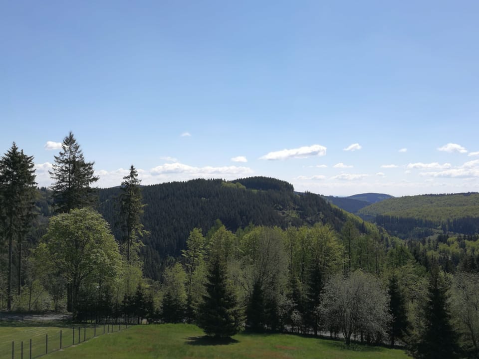 Standard Apartment, 1 Double Bed (1- Raumappartment) | View from room