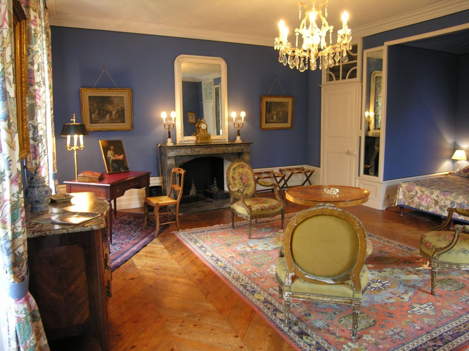 Château du Plessis - Anjou Bed and Breakfast in Pays de la Loire