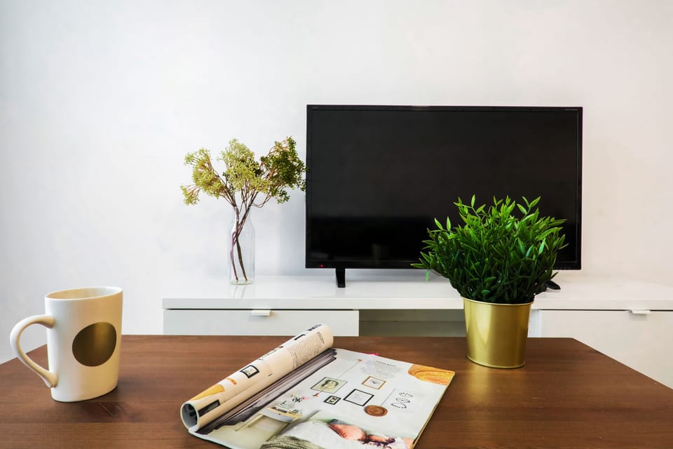 Television