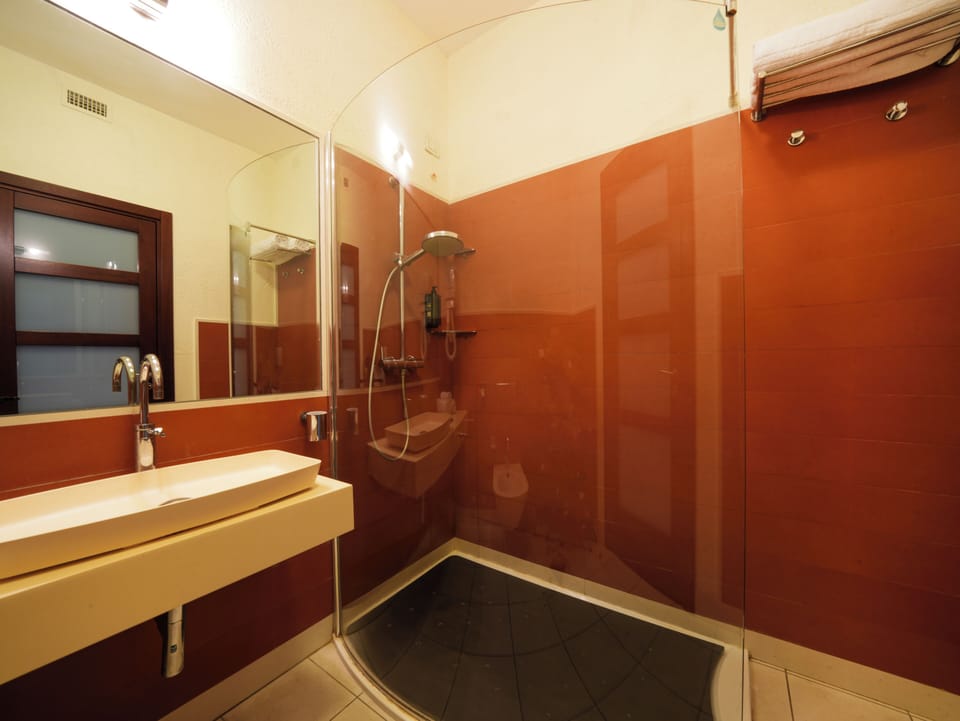 Free toiletries, hair dryer, bidet, towels