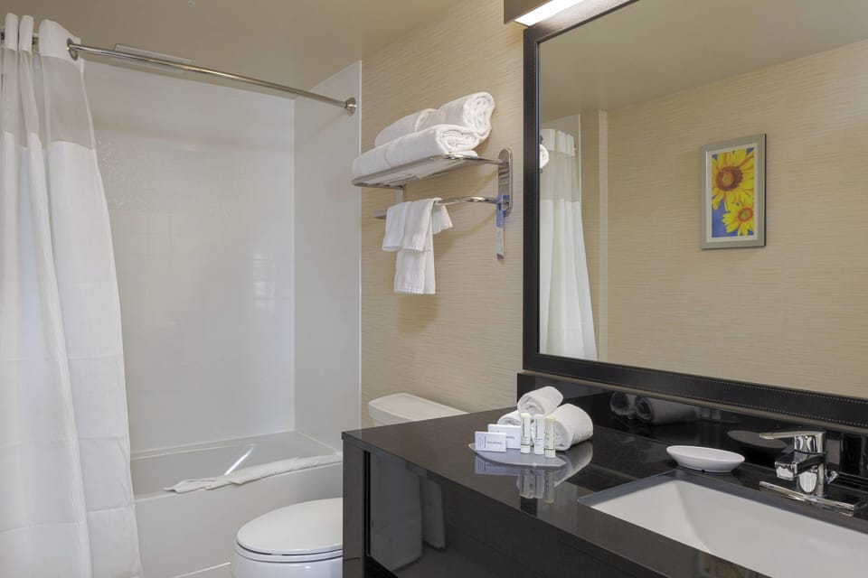 Combined shower/tub, free toiletries, hair dryer, towels