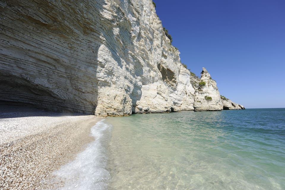 Private beach, white sand, free beach shuttle, sun loungers