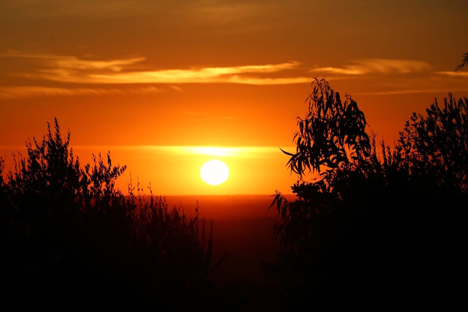 Land view from property