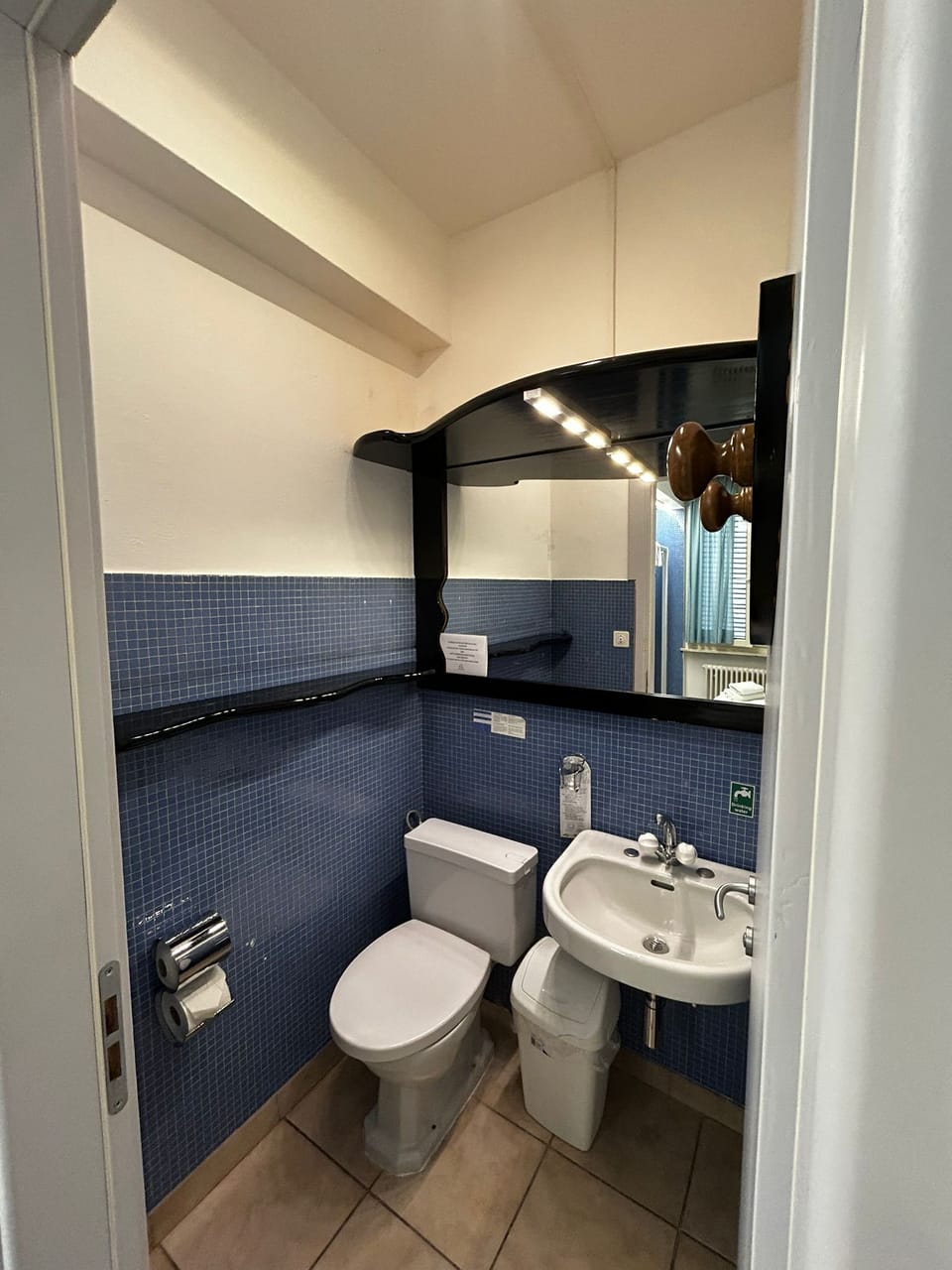 Single Room | Bathroom | Shower, free toiletries, hair dryer, towels
