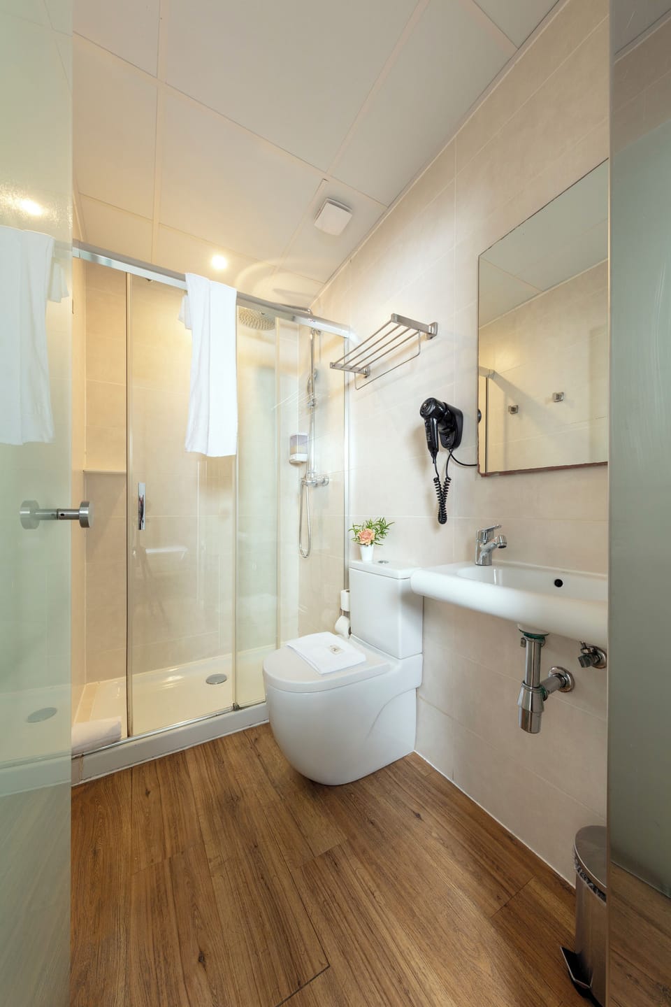 Single Room | Bathroom | Free toiletries, hair dryer, towels, soap