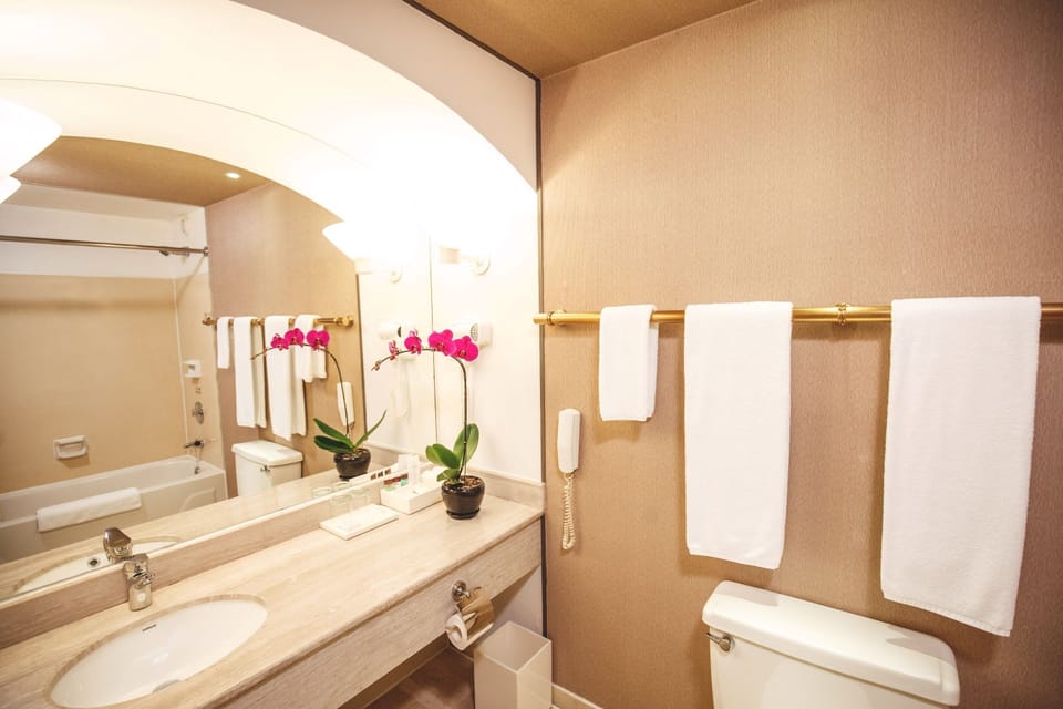 Bathtub, free toiletries, hair dryer, towels