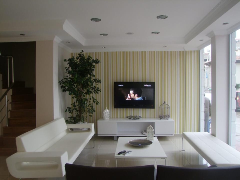 LED TV