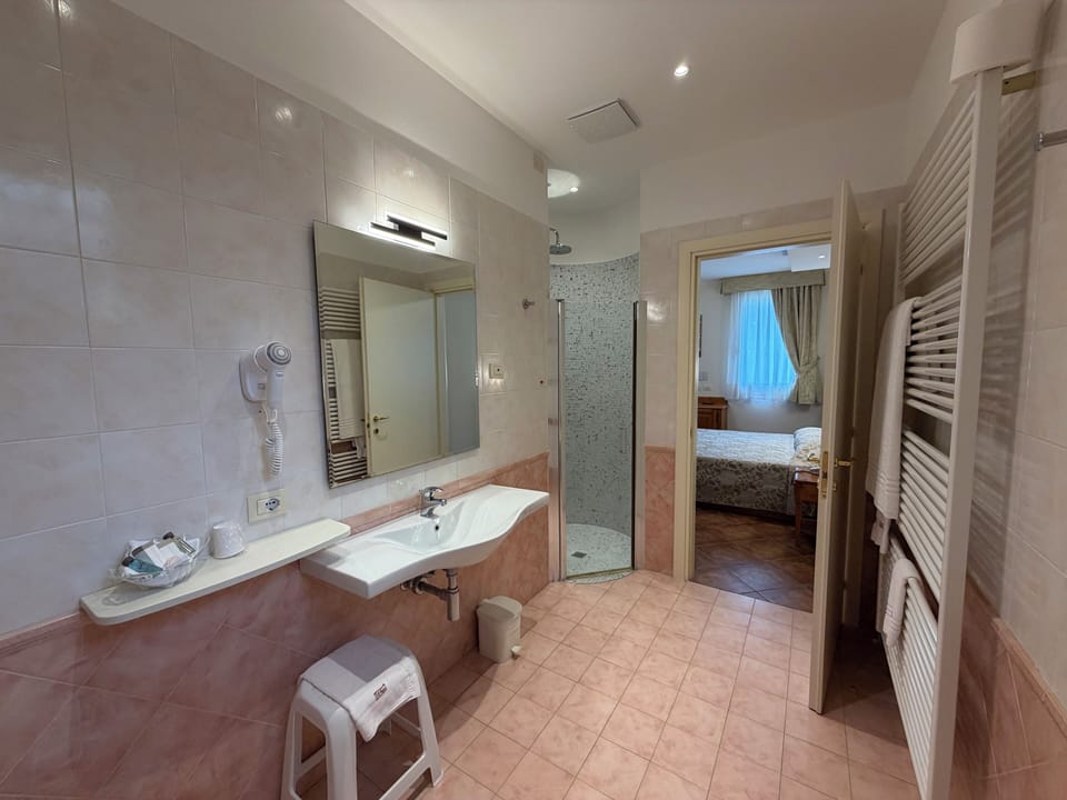 Shower, free toiletries, hair dryer, bidet
