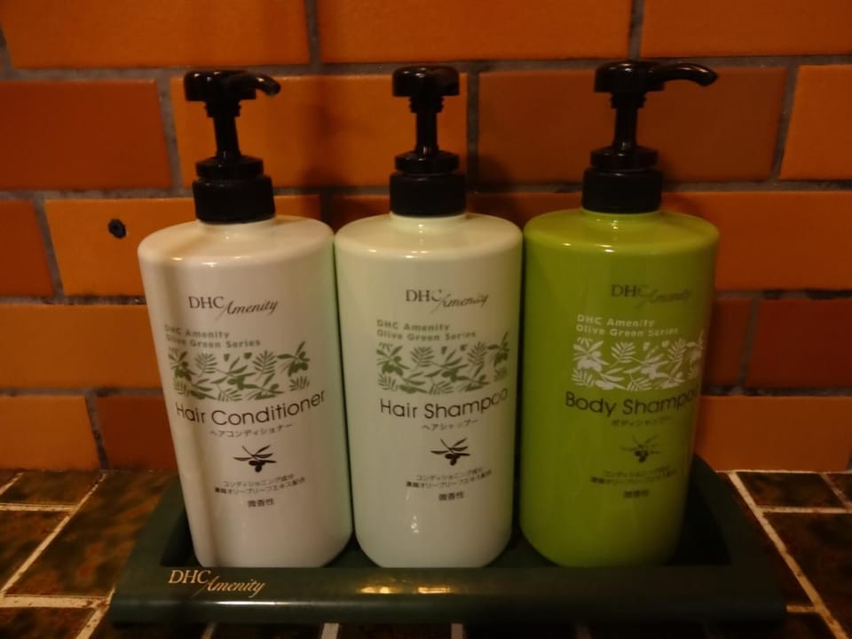 Free toiletries, hair dryer (on request), slippers, electronic bidet