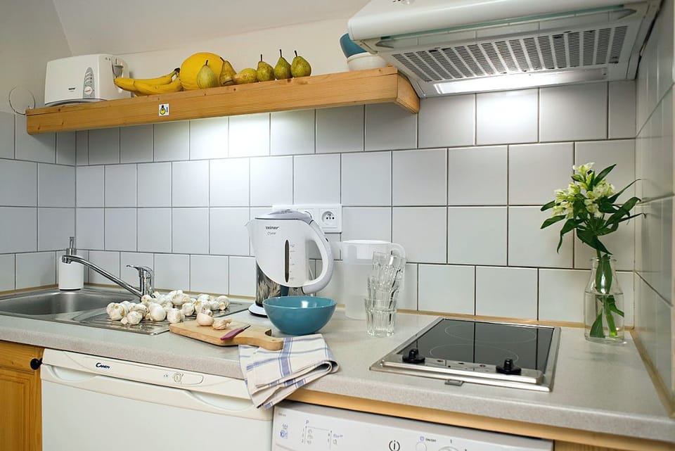 Apartment, 1 Bedroom, Fireplace | Private kitchen | Fridge, microwave, stovetop, dishwasher