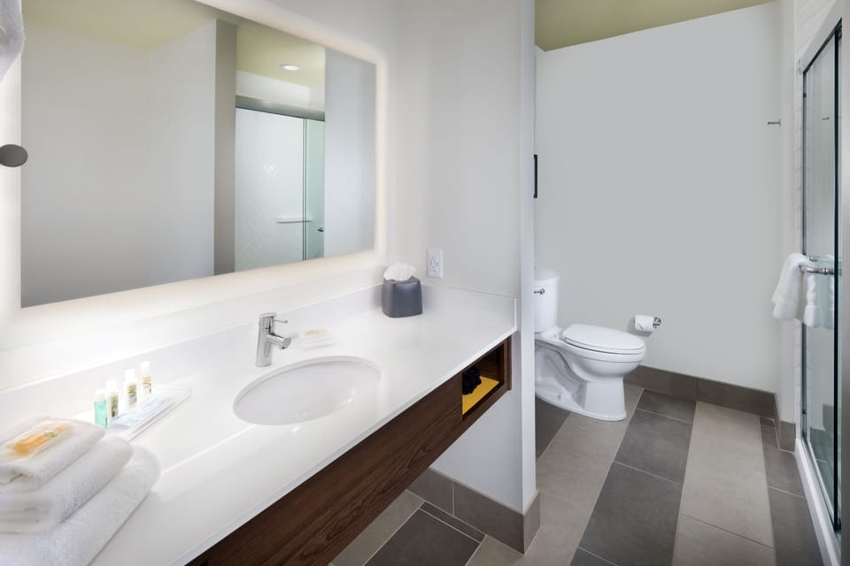 Suite, 1 King Bed | Bathroom | Free toiletries, hair dryer, towels
