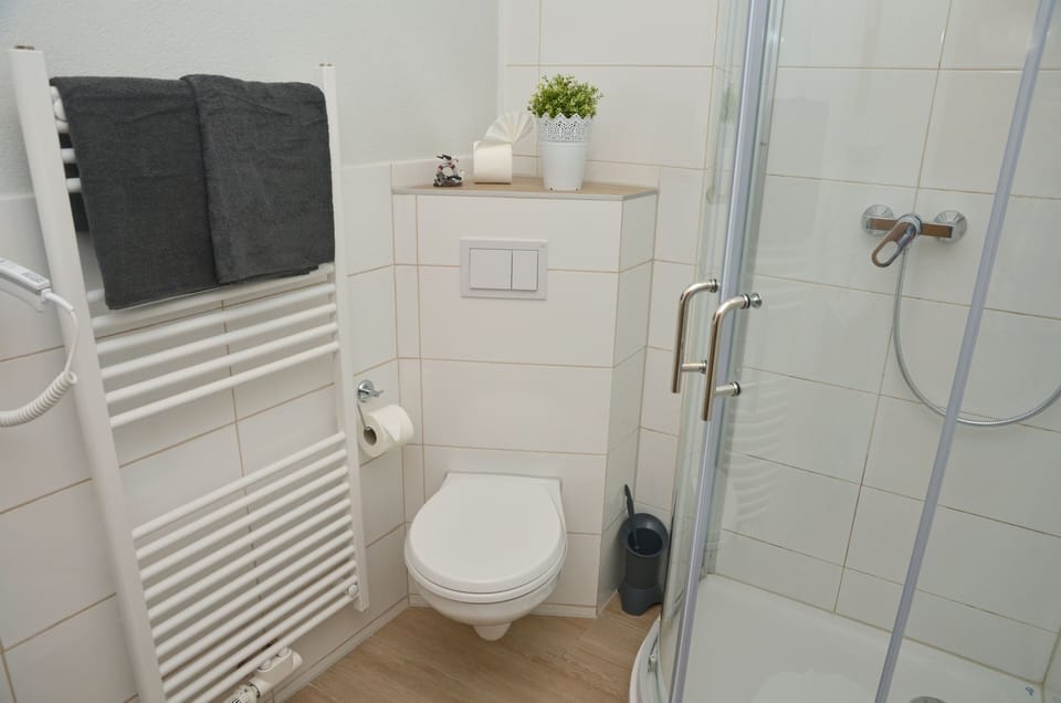 Shower, free toiletries, hair dryer, towels