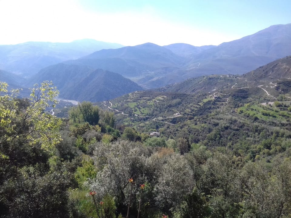 Apartment, Private Bathroom (de 1 dormitorio) | View from property