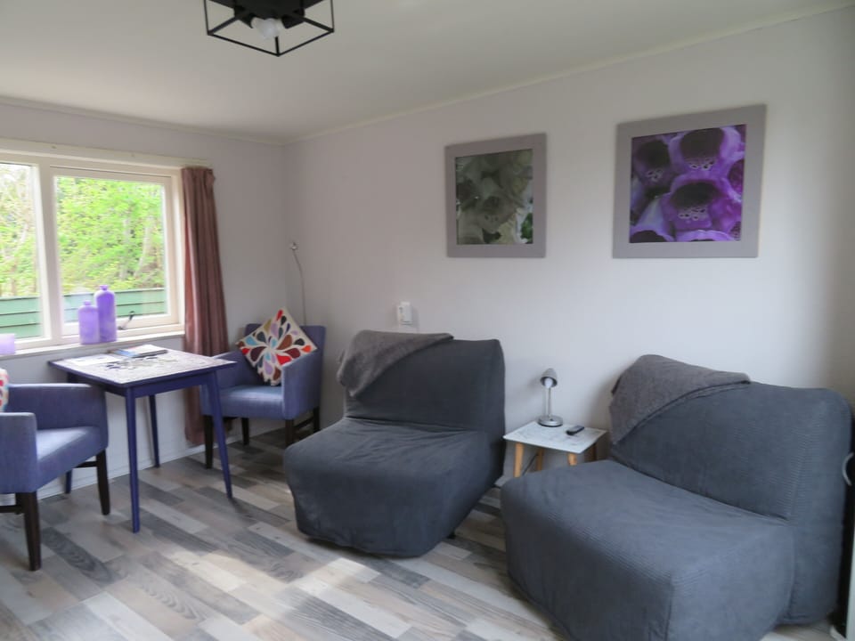 Standard Quadruple Room | Living area | Flat-screen TV, books