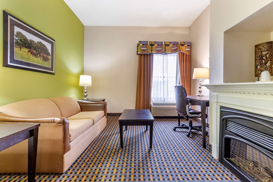 Standard Room, 1 King Bed with Sofa bed, Non Smoking | Premium bedding, desk, blackout drapes, iron/ironing board