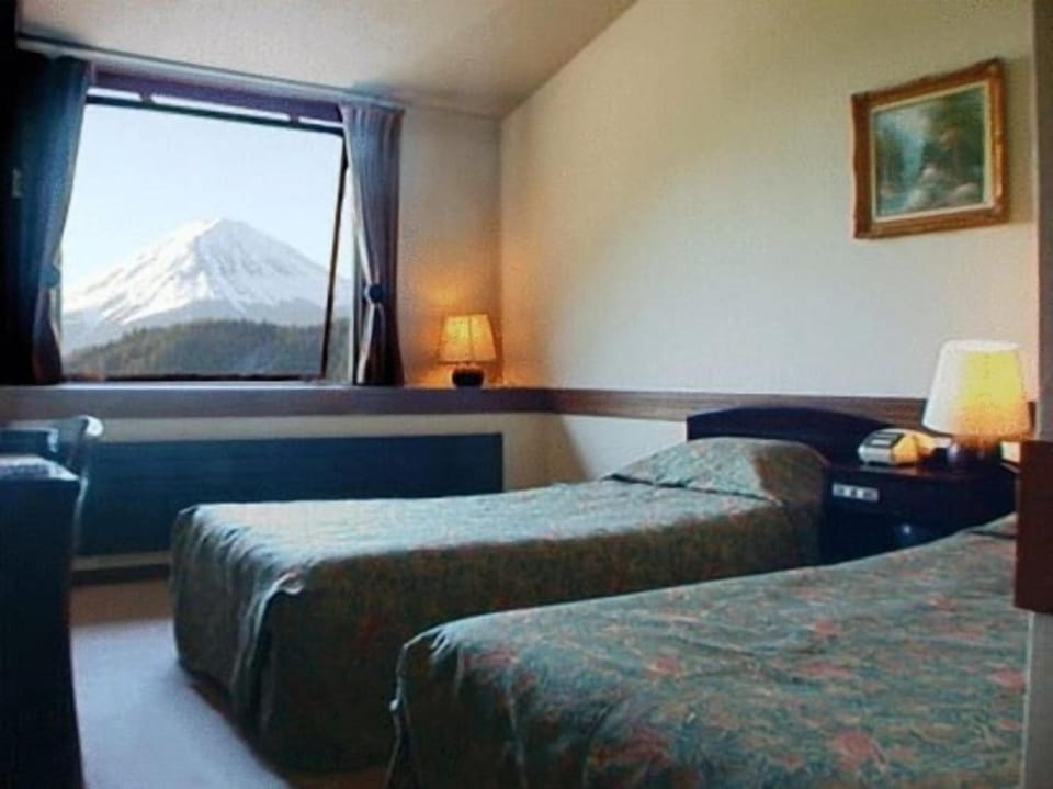 Desk, laptop workspace, iron/ironing board, rollaway beds