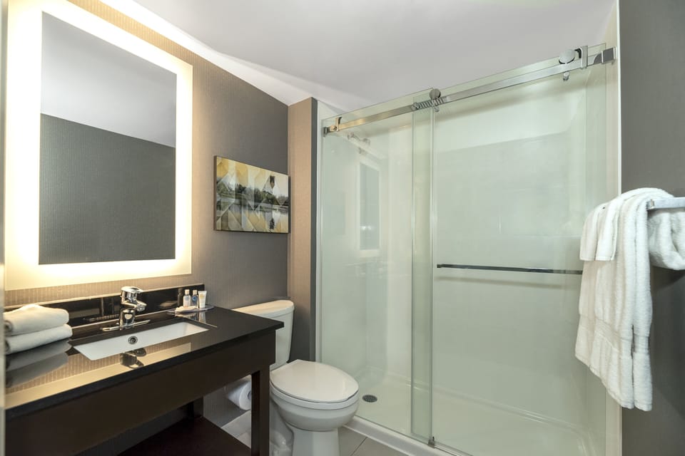 Combined shower/tub, free toiletries, hair dryer, towels