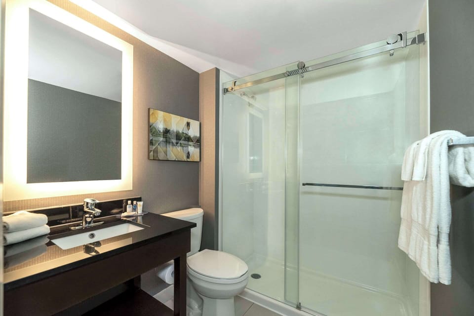 Deluxe Room, Refrigerator, Ground Floor (1 King Bed) | Premium bedding, pillowtop beds, desk, blackout drapes