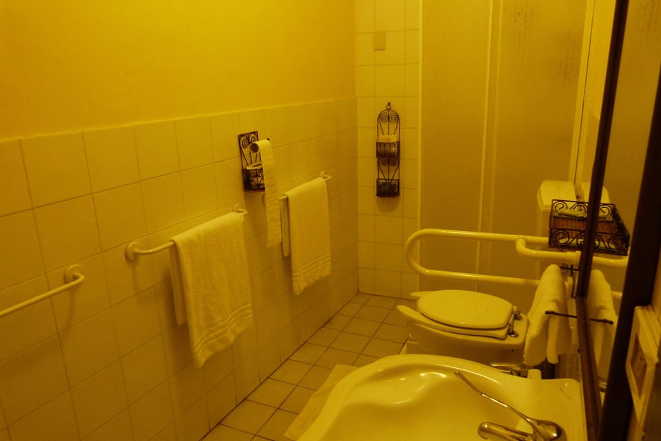 Shower, free toiletries, hair dryer, bidet