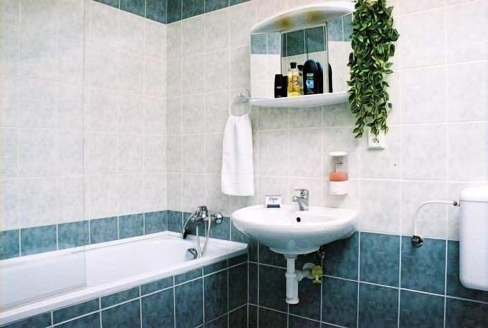 Hair dryer, towels