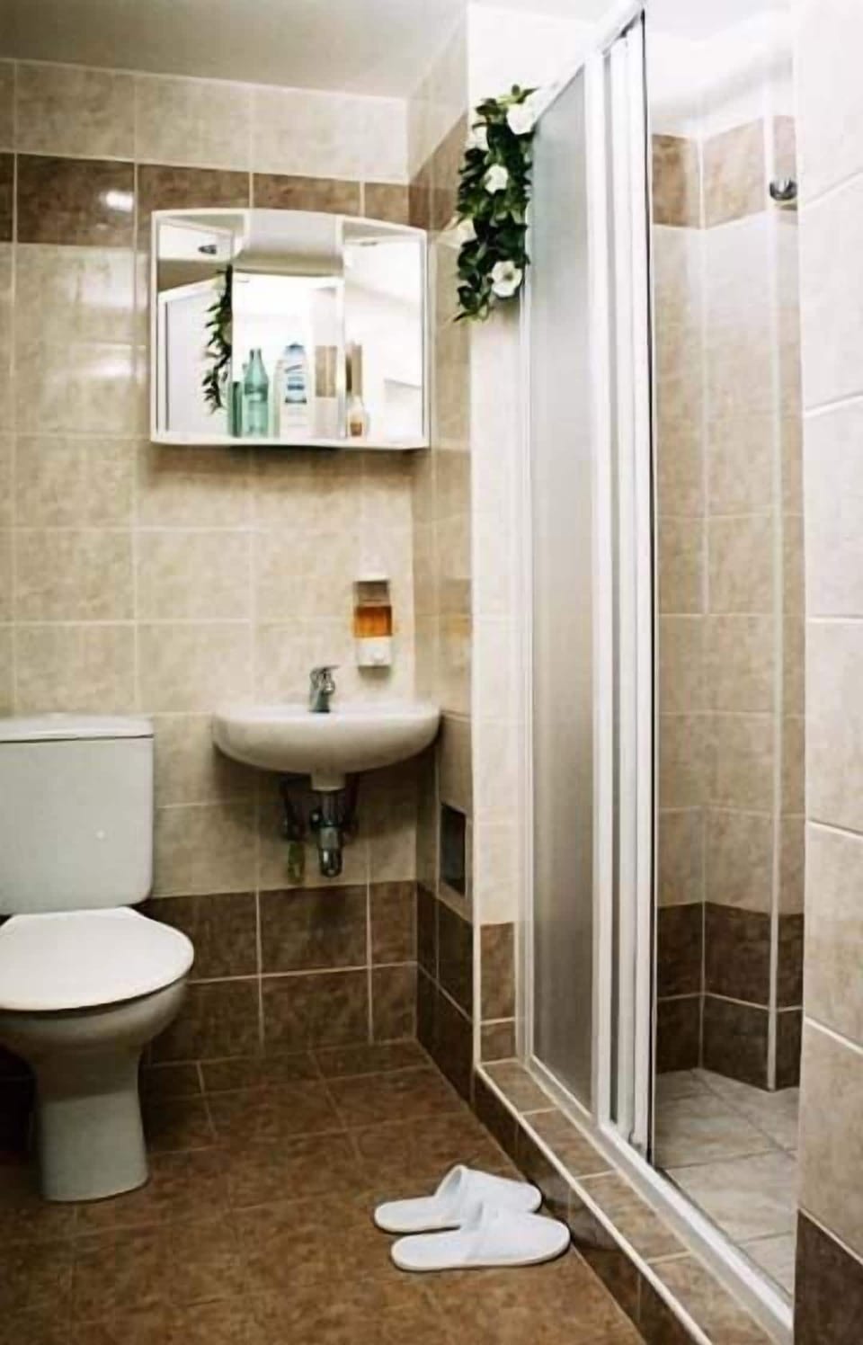 Hair dryer, towels
