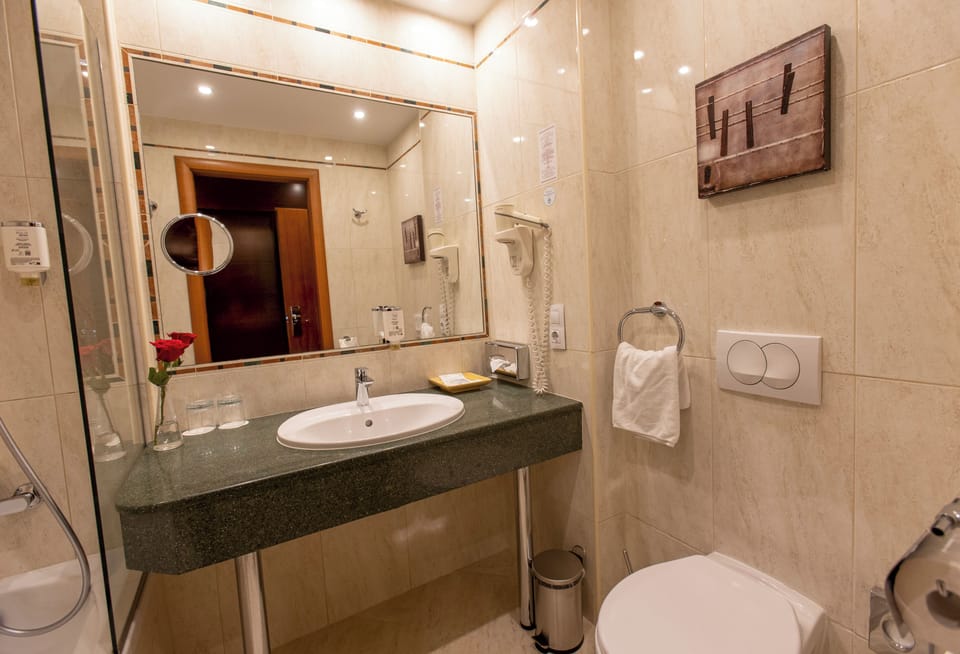 Shower, hair dryer, towels