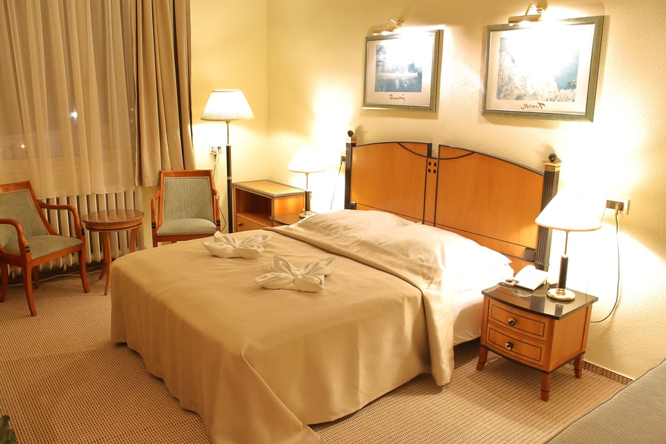 Basic Double Room, City View | 1 bedroom, premium bedding, minibar, desk