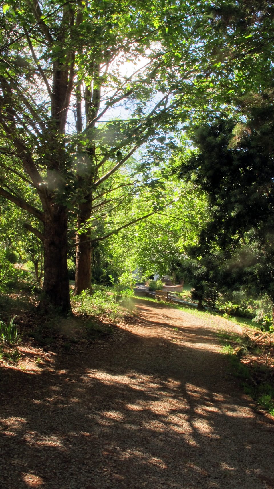 Hiking