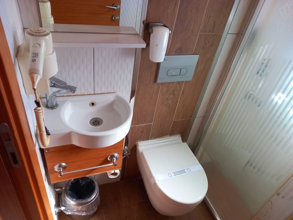 Shower, free toiletries, hair dryer, towels
