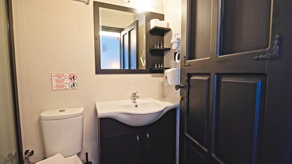 Shower, free toiletries, hair dryer, slippers
