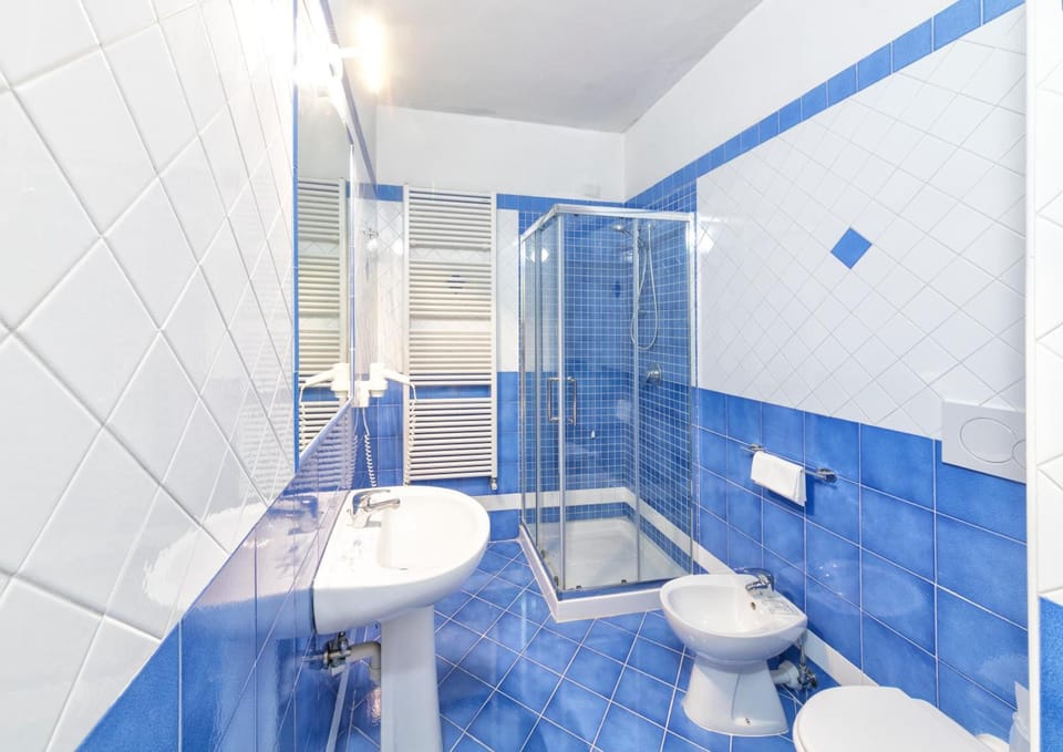 Free toiletries, hair dryer, bidet