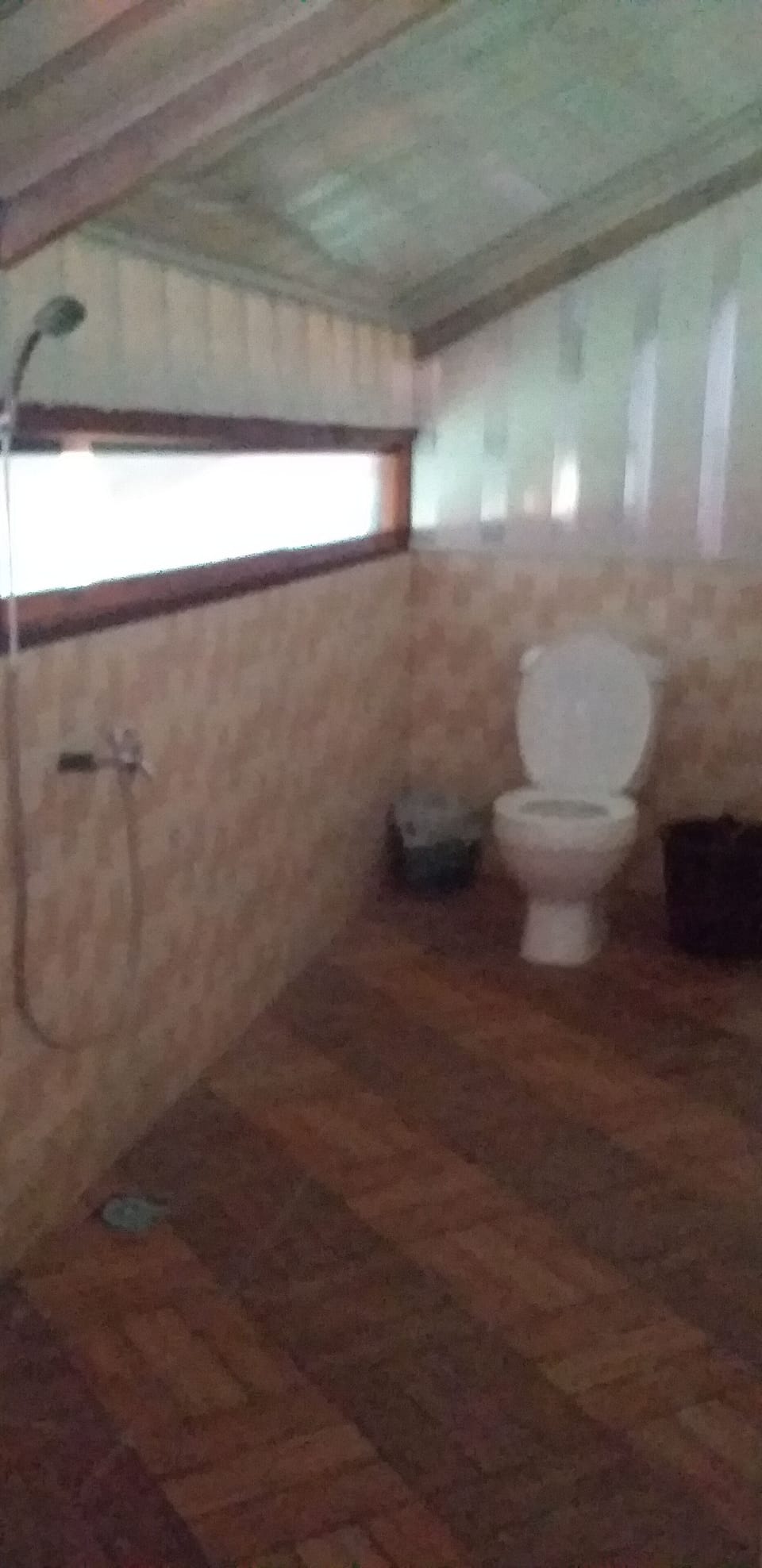 Shower, free toiletries, towels