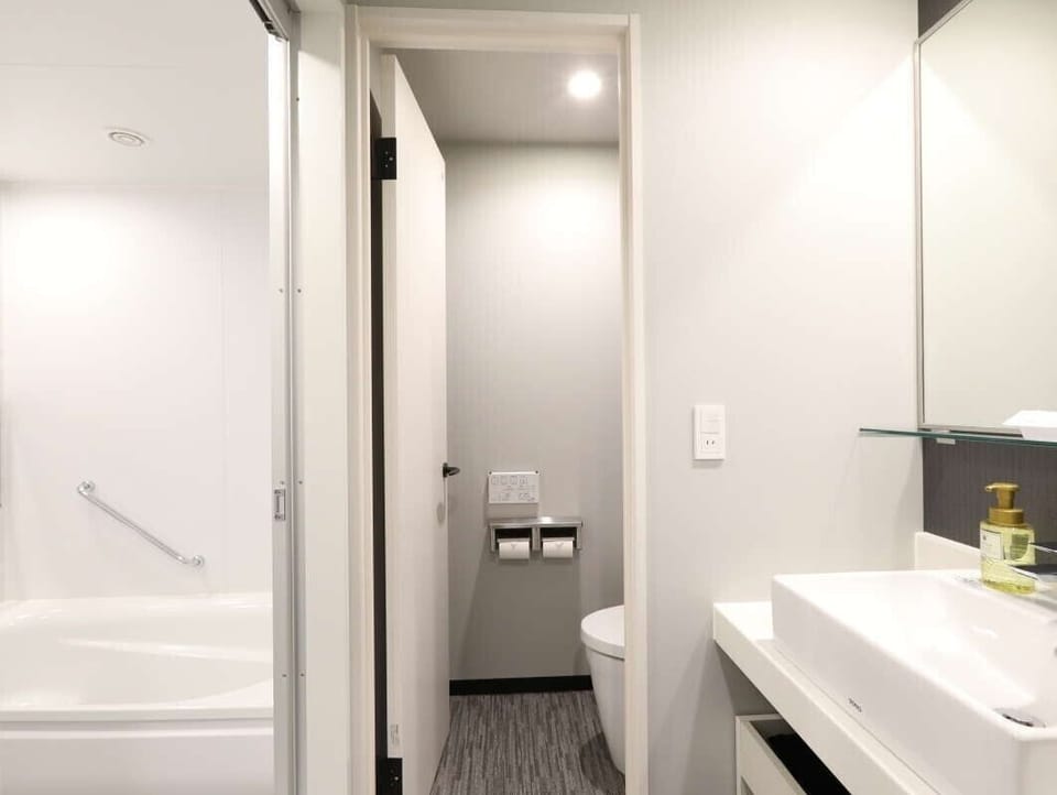 Combined shower/tub, eco-friendly toiletries, hair dryer, bidet